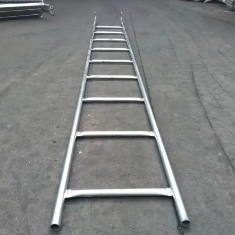 Scaffolding ladder008